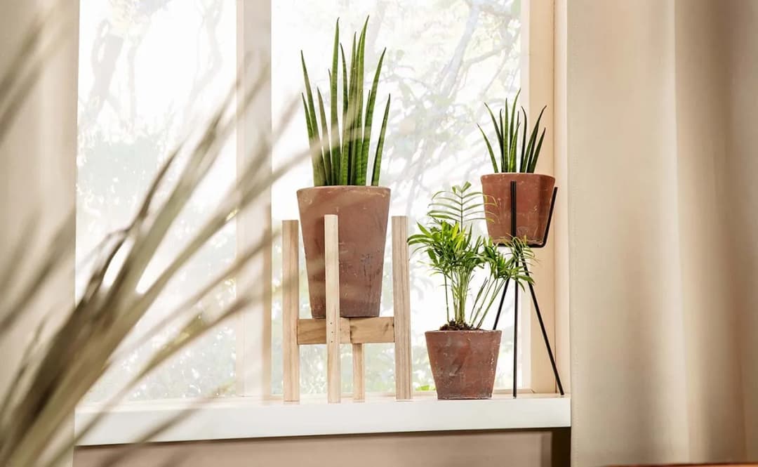 Co postawić na parapecie, aby stworzyć piękną i praktyczną przestrzeń