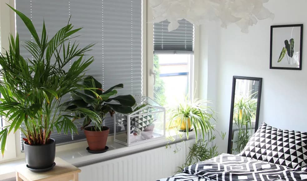 Skuteczne sposoby na to, czym zasłonić okno od słońca w domu Skuteczne sposoby na to, czym zasłonić okno od słońca w domu